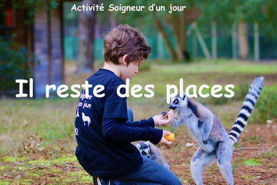  Il reste des places