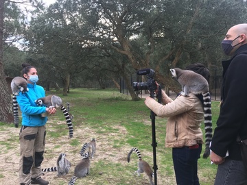 Sud-Ouest parle du Zoo de Labenne