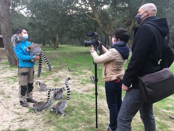 Sud-Ouest parle du Zoo de Labenne