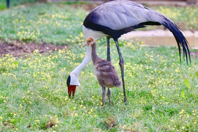 Conserver la nature