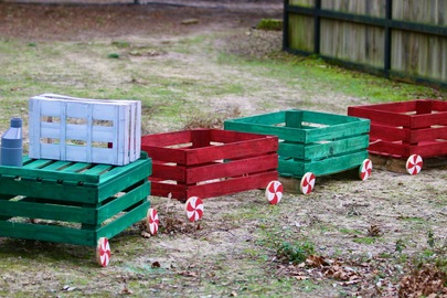 Noël au Zoo de labenne 🎅🏻🎅🏻