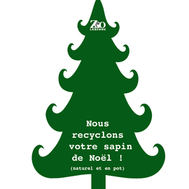 Une seconde vie pour votre sapin de Noël