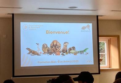Formation et bien-être animal