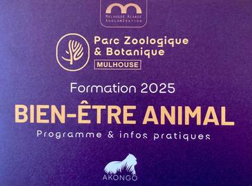 Formation et bien-être animal