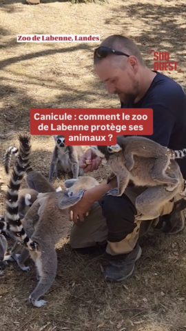 La presse parle du Zoo de Labenne