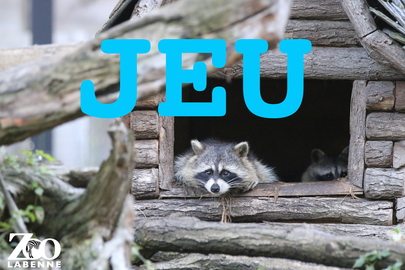 Jeu