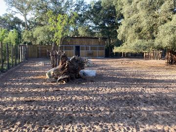 Le Zoo de Labenne bouge 
