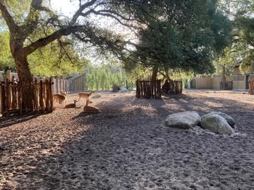 Le Zoo de Labenne bouge 