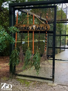 Le Zoo