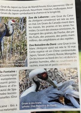 On parle du Zoo de Labenne