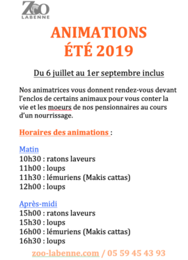 Animations tous les jours