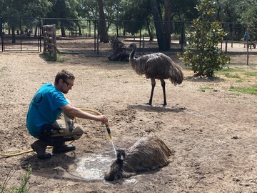 La presse parle du Zoo 