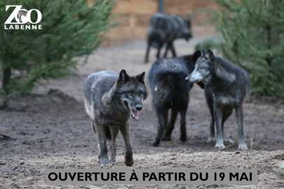 Ouverture le 19 mai