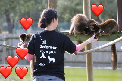 Idée cadeau Saint Valentin ❤️