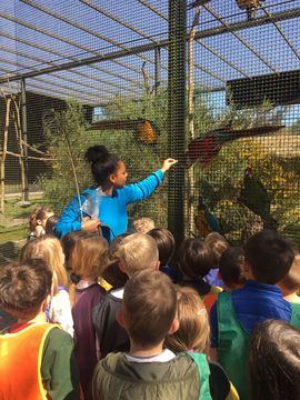 Au Zoo avec mon école