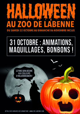 Boooooooo ðŸŽƒ