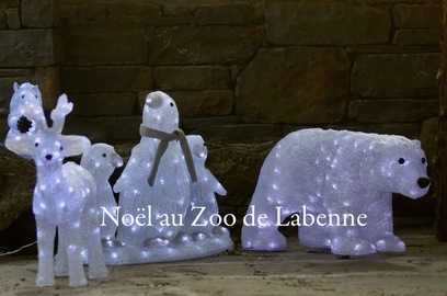 Animations à Noël