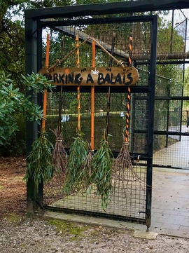 Halloween au Zoo de Labenne