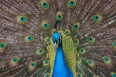 Réouverture du Zoo de Labenne