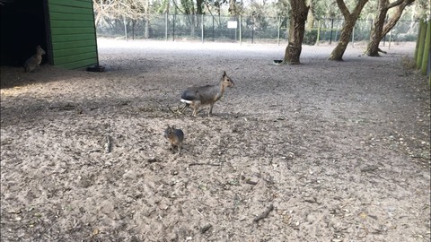 Une autre naissance 🐣😍