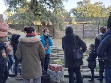 Animations aux loups du 20 au 23 décembre