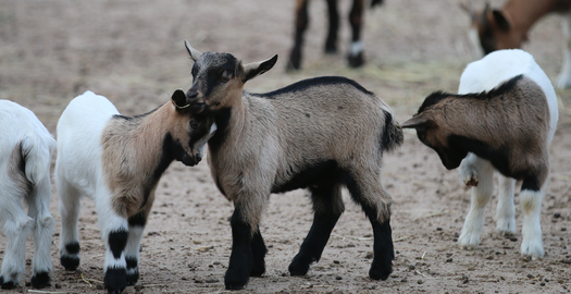 Ouvert toute l'année