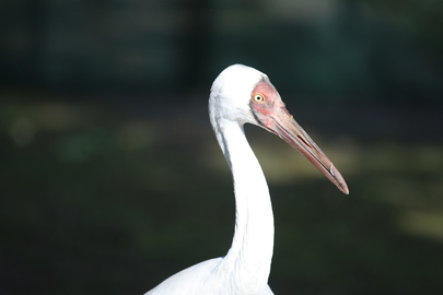 Ouvert toute l'année