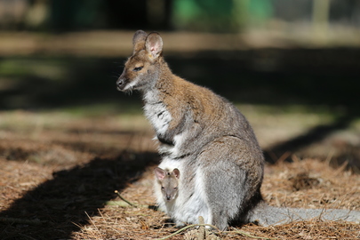 Ouvert toute l'année
