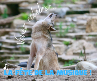 Venez célébrer la fàªte de la musique