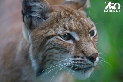 Ouverture en septembre : tous les jours de 14h à 19h 