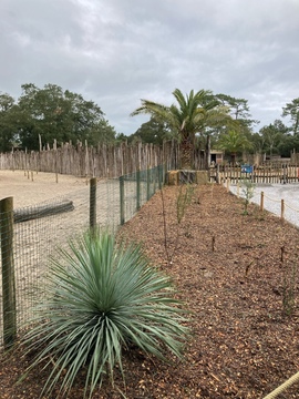 Le Zoo de Labenne bouge 🚜