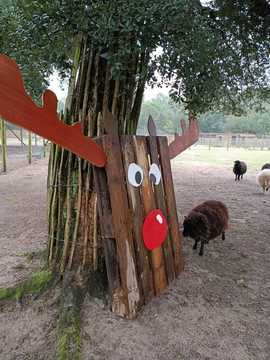 Noël au Zoo de Labenne