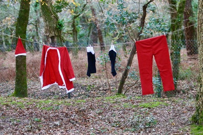 Noël au Zoo de Labenne