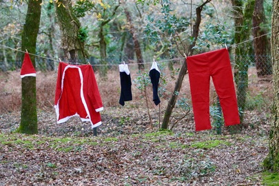 Noël au Zoo de Labenne