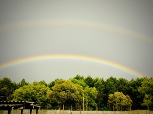 Arc en ciel au dessus du Zoo de Labenne